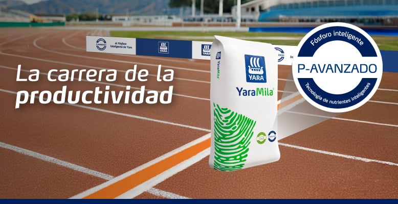 YaraMila arranca la carrera de la productividad