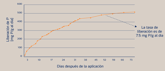pavanzado se libera en una tasa consistente