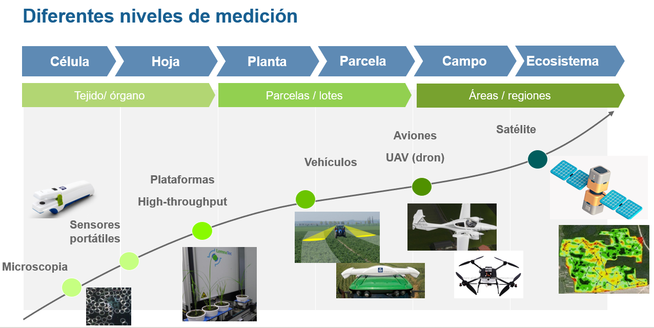 niveles de medicion.png