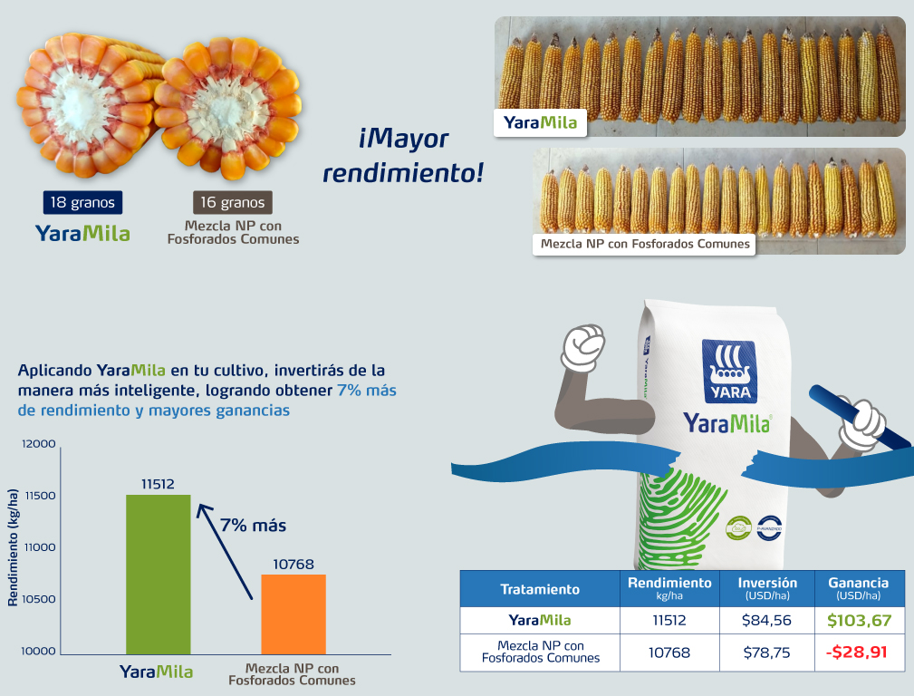 El fosforo de YaraMila simpre gana