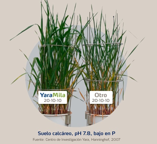 mas vale calidad que cantidad