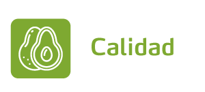 Calidad